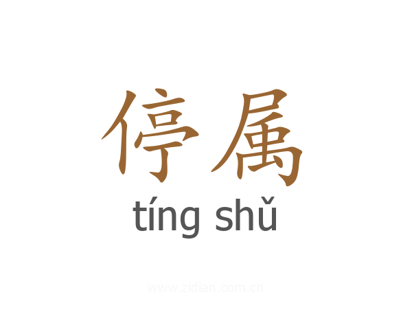 停属