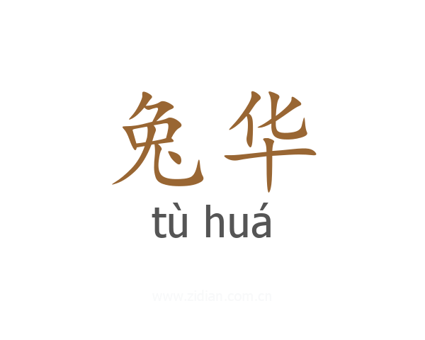 兔华