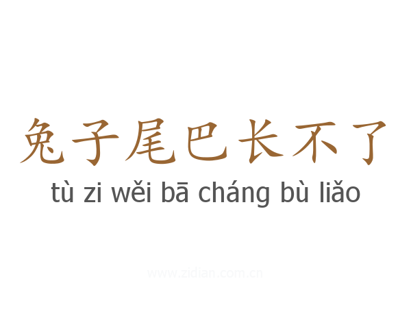 兔子尾巴长不了