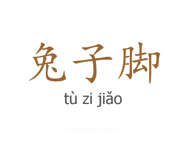 兔子脚