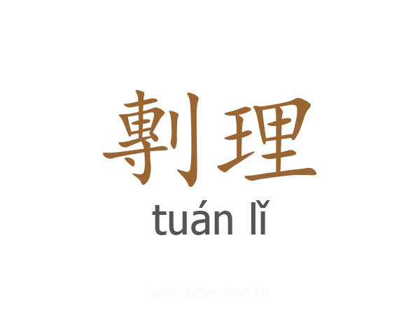 剸理