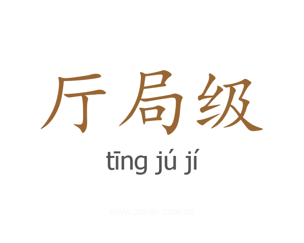 厅局级