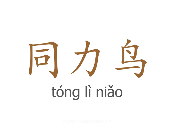 同力鸟