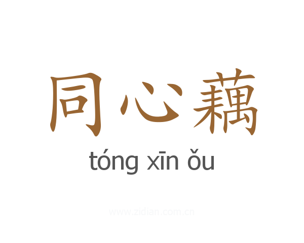 同心藕