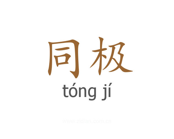 同极