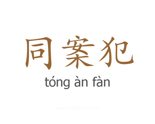 同案犯