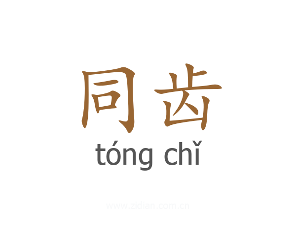 同齿