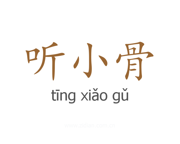 听小骨