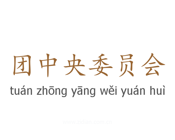 团中央委员会