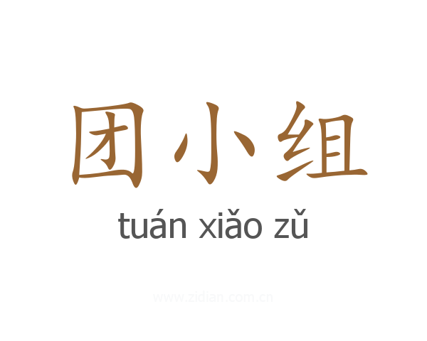 团小组