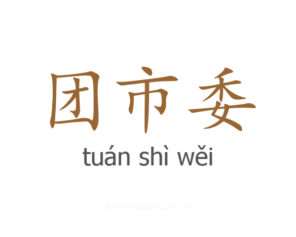 团市委
