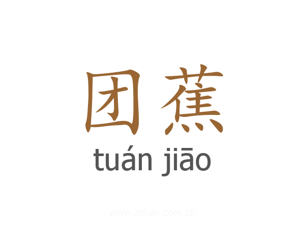 团蕉