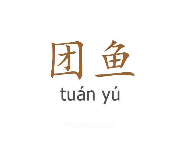 团鱼