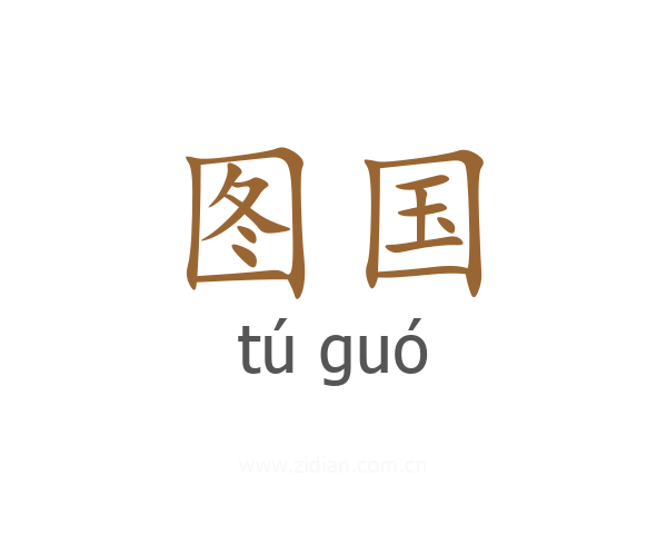 图国