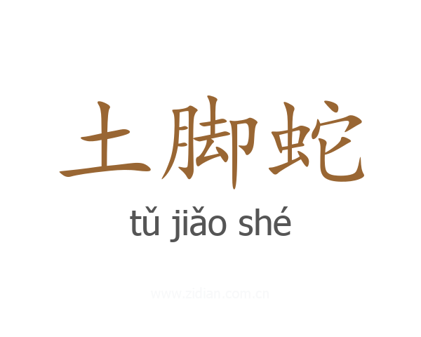 土脚蛇