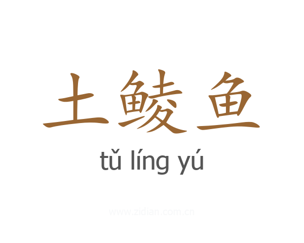 土鲮鱼