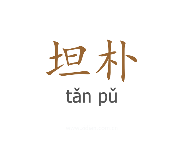 坦朴