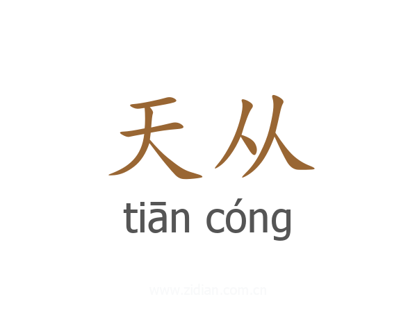 天从