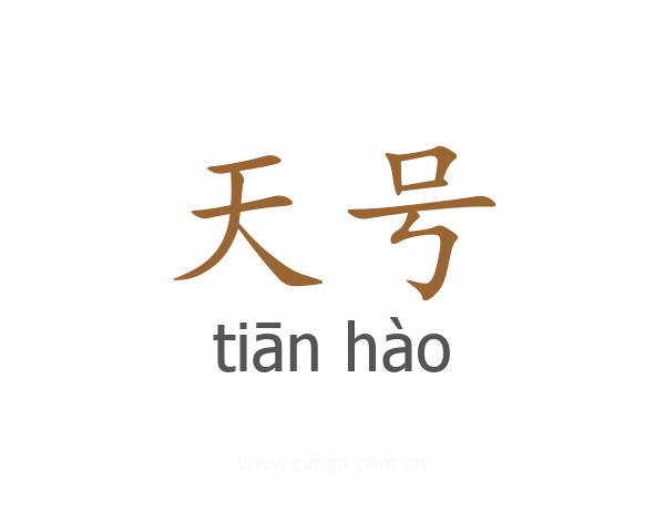 天号