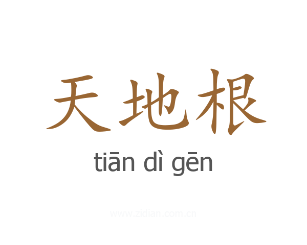 天地根