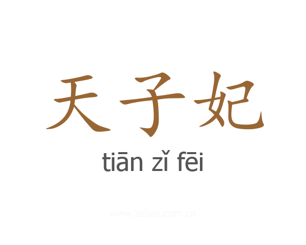 天子妃