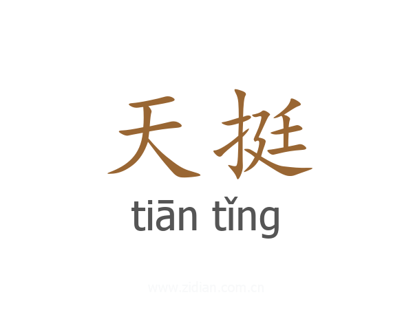 天挺