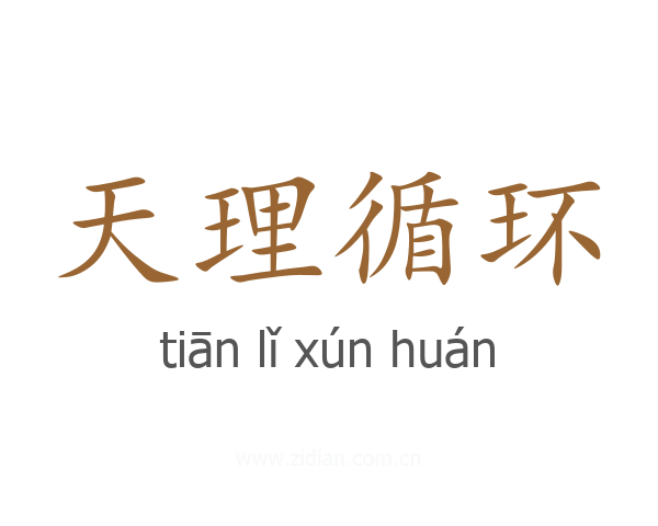 天理循环