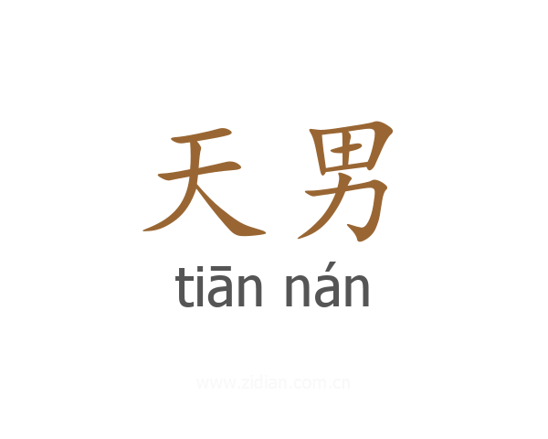 天男