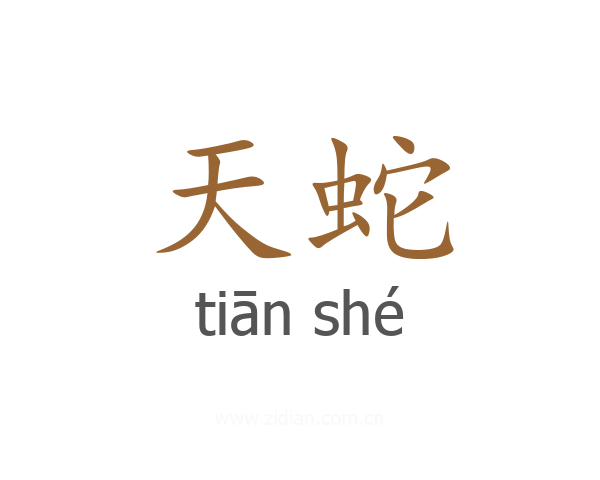 天蛇