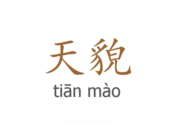 天貌