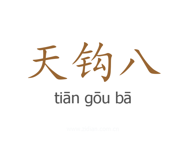天钩八