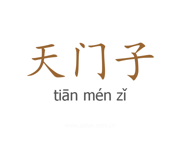天门子