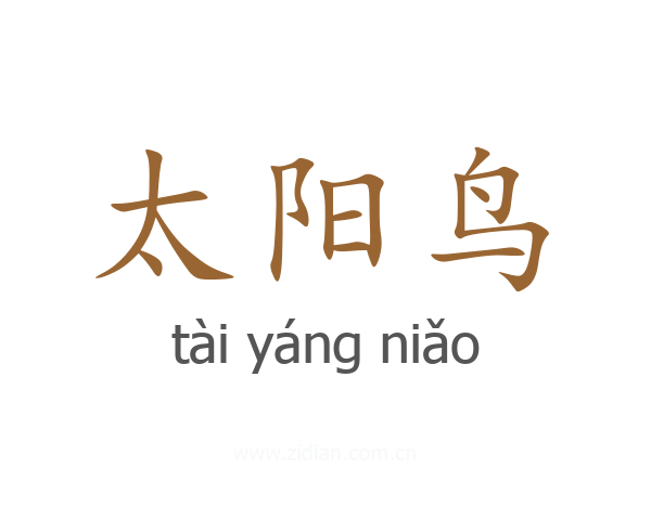 太阳鸟