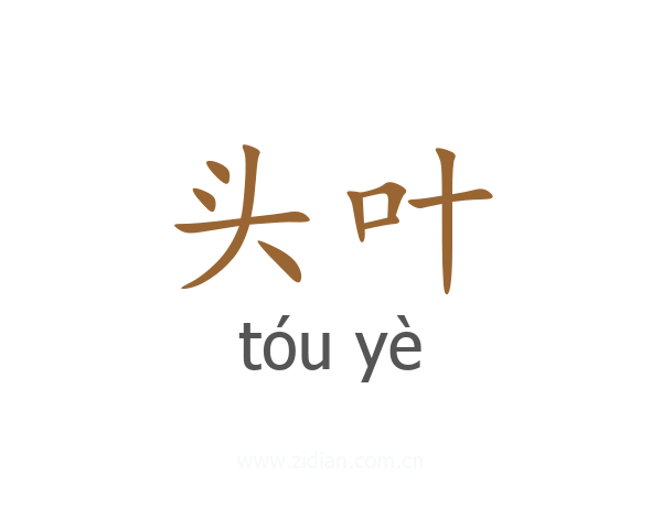 头叶