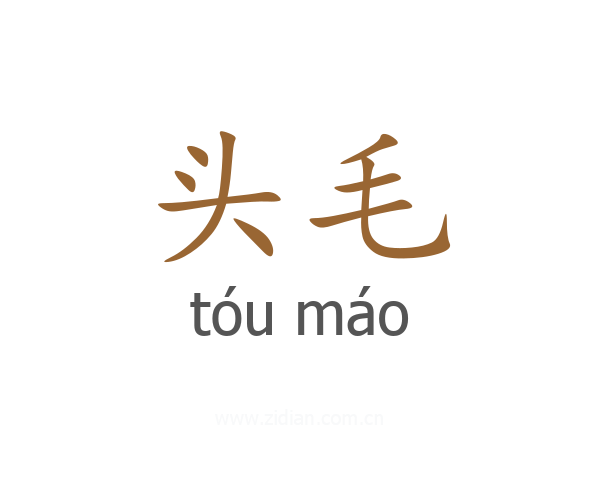 头毛