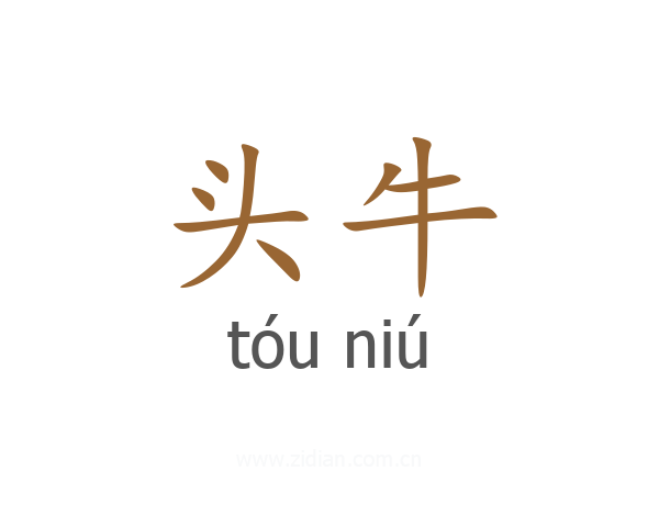 头牛