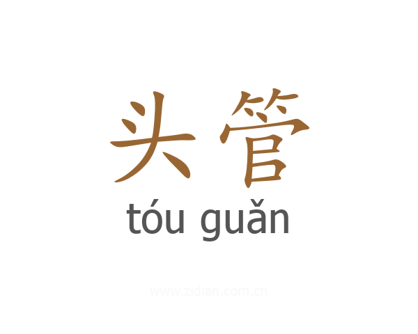 头管