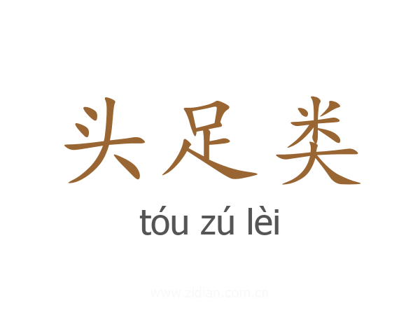 头足类