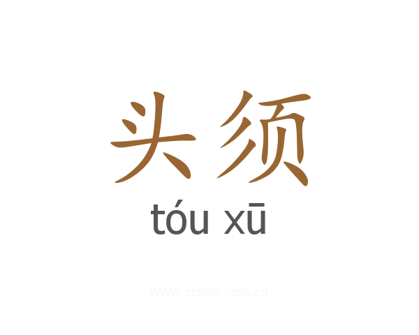 头须