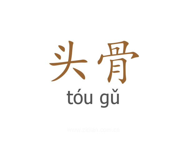 头骨
