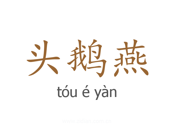 头鹅燕