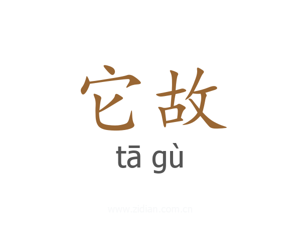 它故