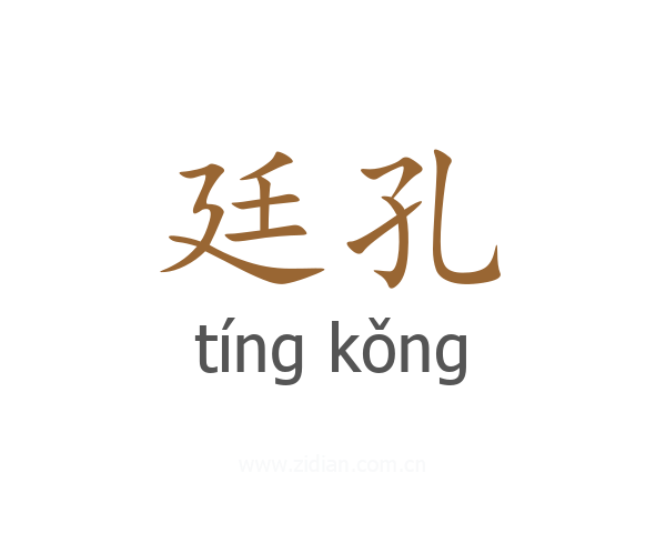 廷孔