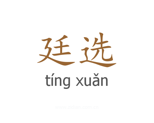 廷选
