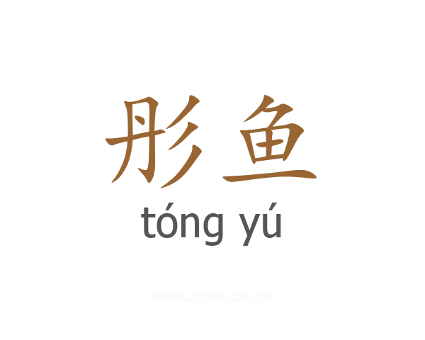 彤鱼