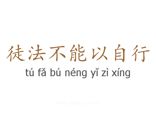 徒法不能以自行
