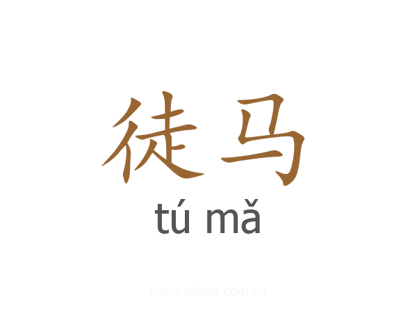 徒马