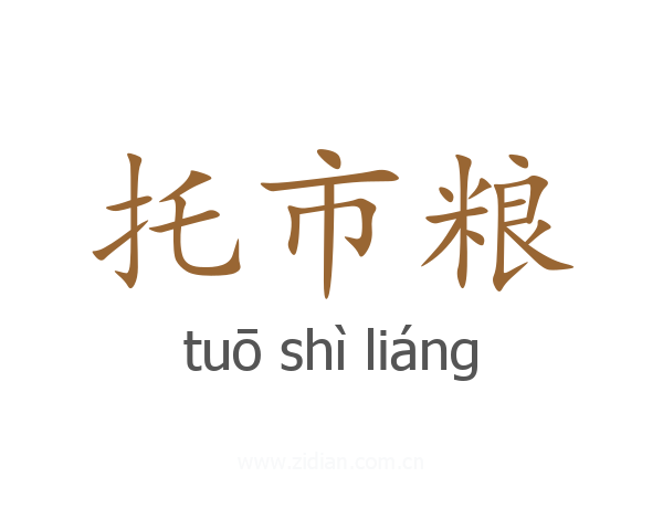 托市粮