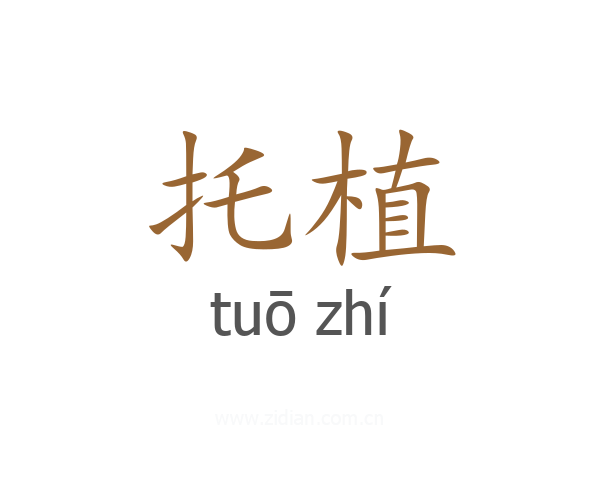 托植