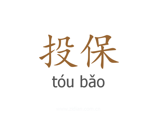投保